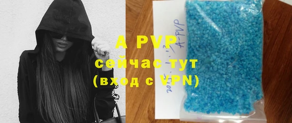 ГАЛЛЮЦИНОГЕННЫЕ ГРИБЫ Кукмор